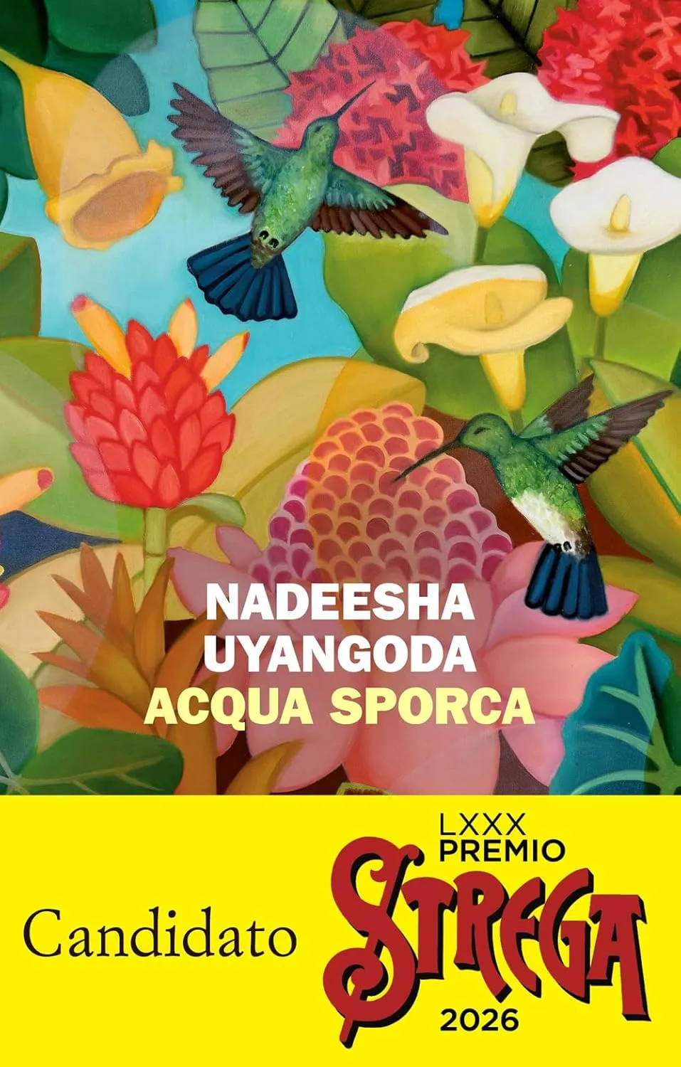 Copertina di Acqua sporca