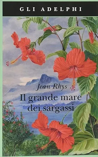 Copertina di Il grande mare dei sargassi