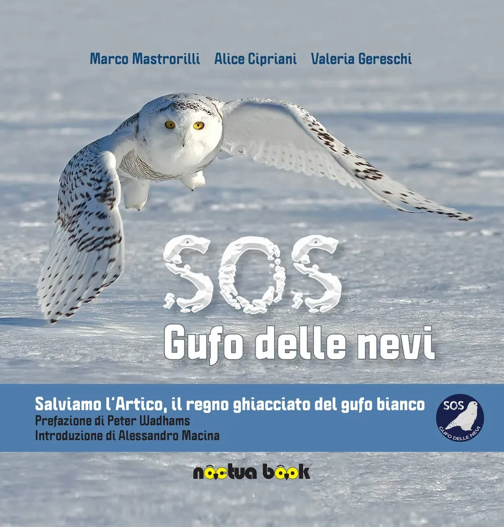 Copertina di SOS gufo delle nevi