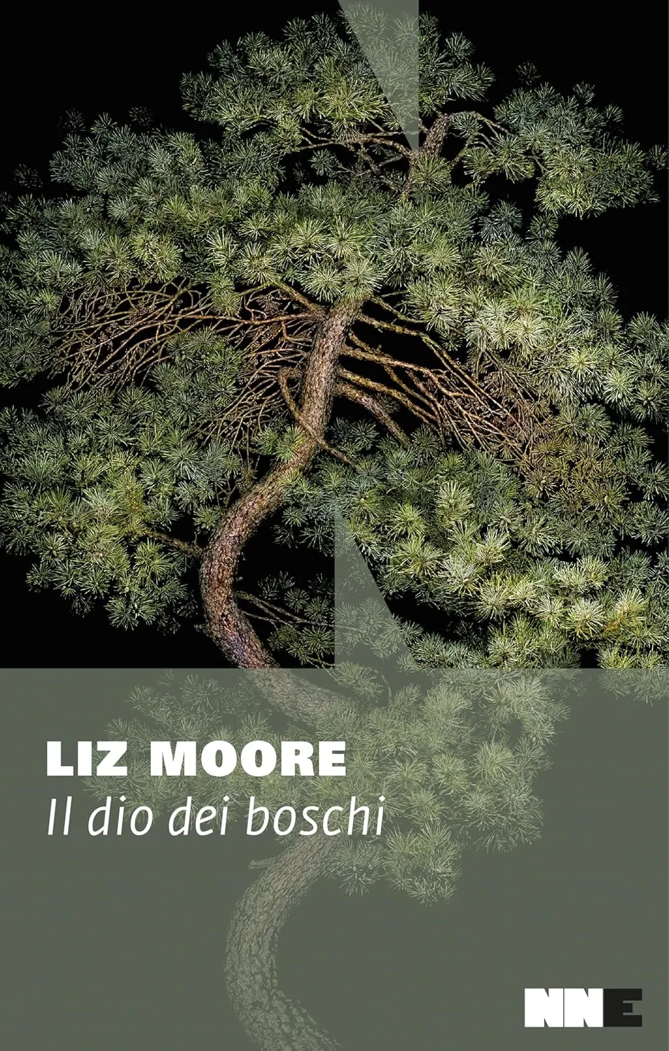 Copertina di Il dio dei boschi