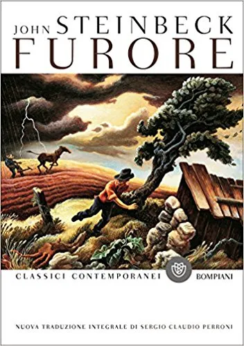 Copertina di Furore